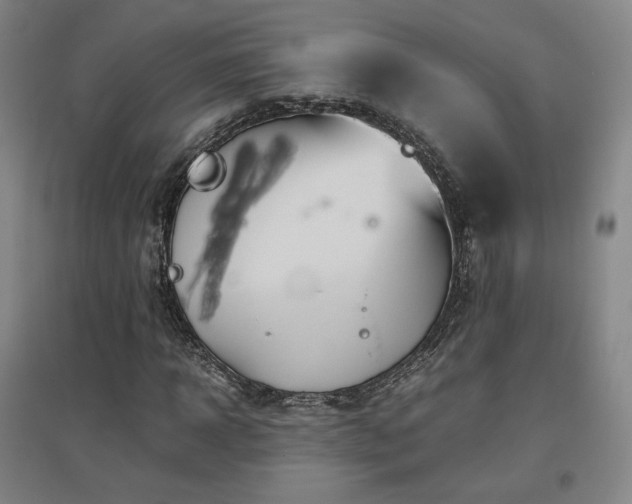 X0000097480918200802221348