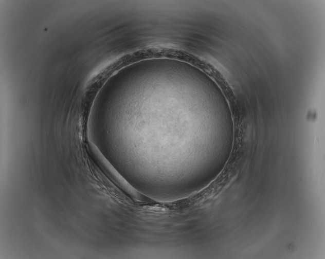 X0000097480919200802221348
