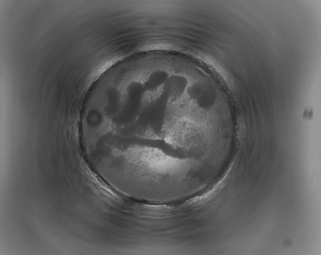 X0000097480921200802221348