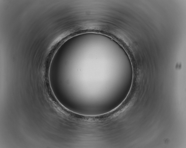 X0000097480922200802221348