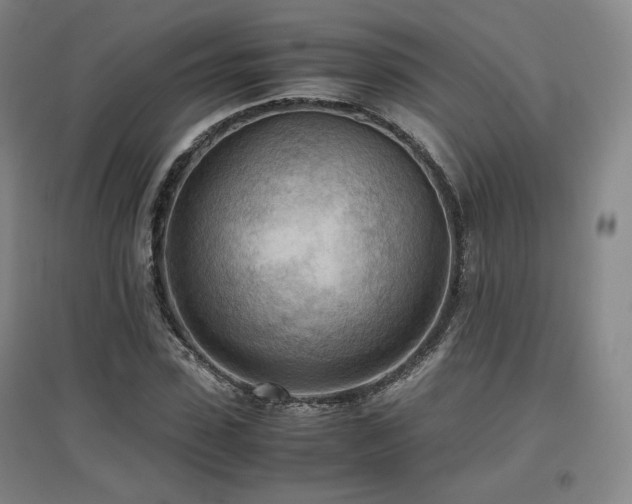 X0000097480923200802221348