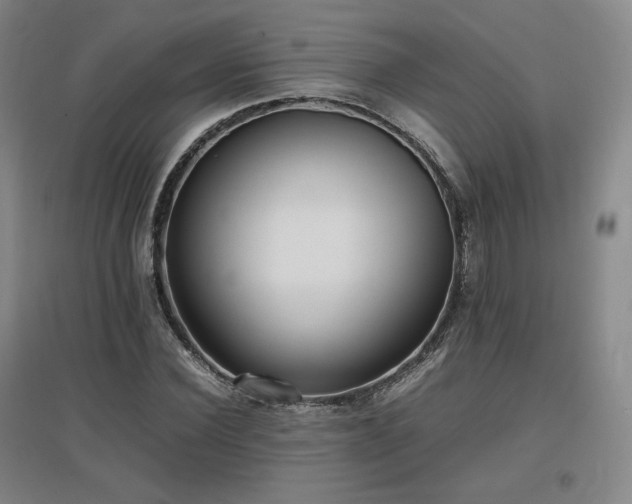 X0000097480924200802221349