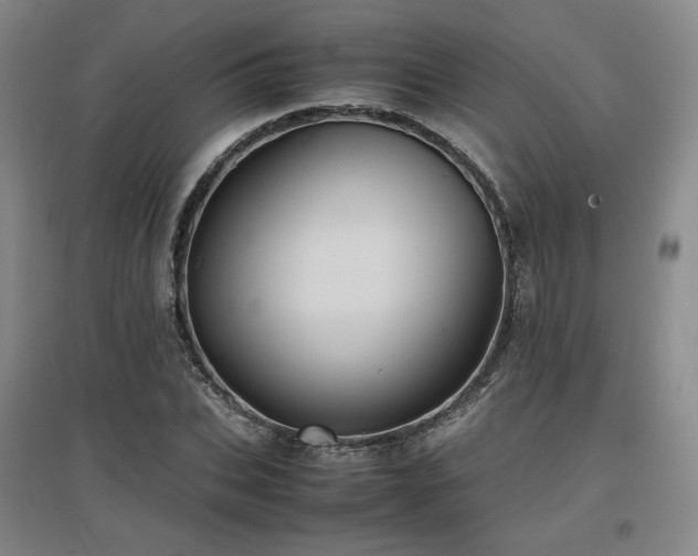 X0000097480927200802221349