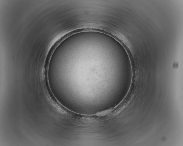 X0000097480928200802221349