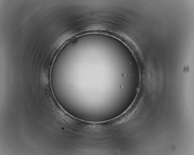 X0000097480929200802221349