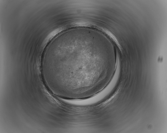 X0000097480930200802221349