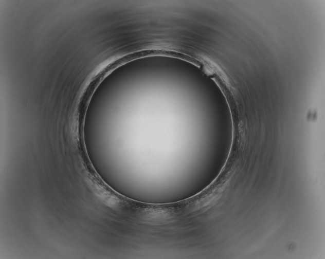 X0000097480931200802221349