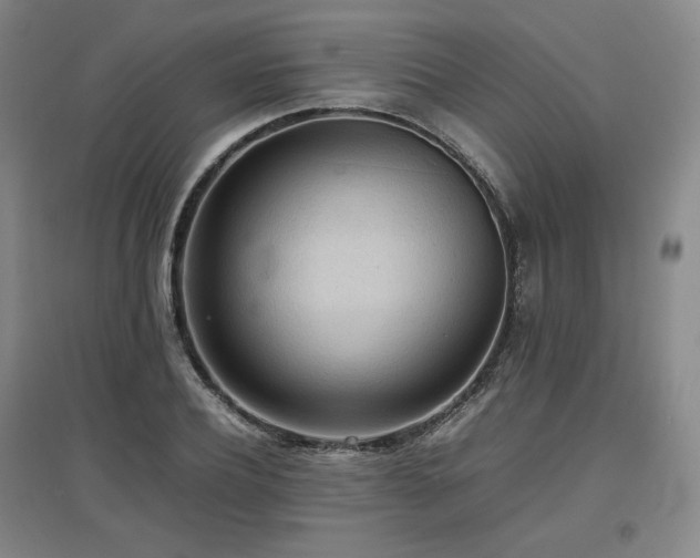 X0000097480932200802221349