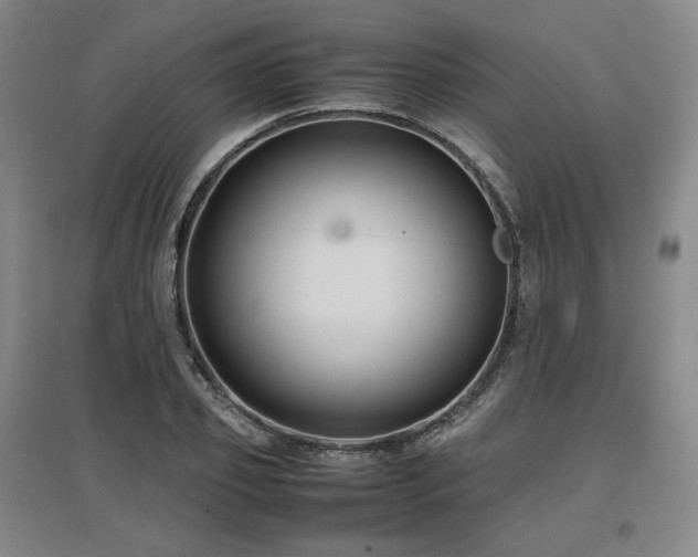 X0000097480933200802221349