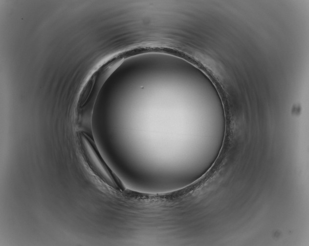 X0000097480934200802221349