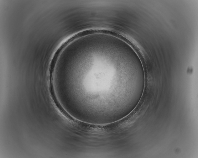 X0000097480935200802221349