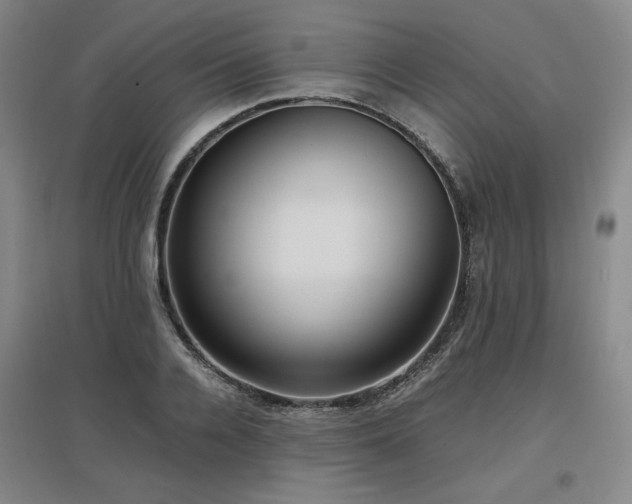 X0000097480936200802221349