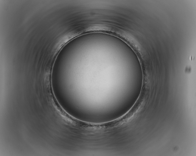 X0000097480937200802221349