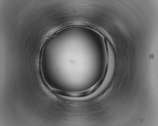 X0000097480938200802221349