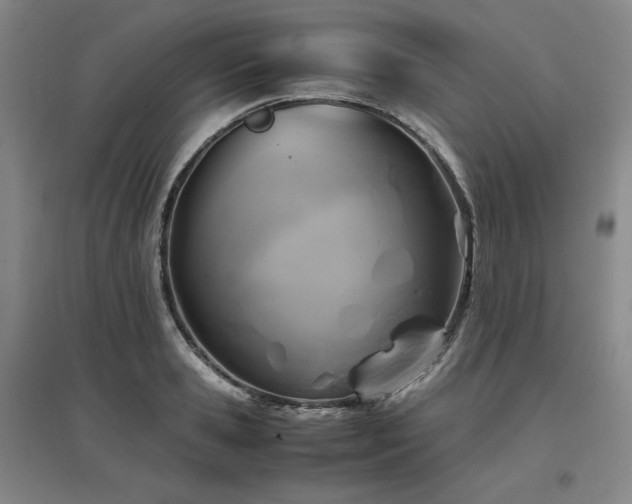 X0000097480941200802221349