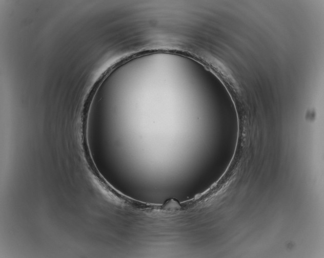 X0000097480942200802221349