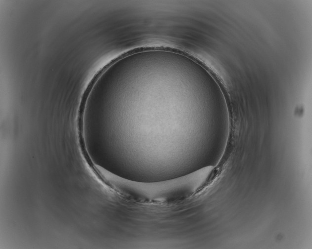 X0000097480943200802221349
