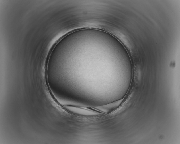 X0000097480944200802221349