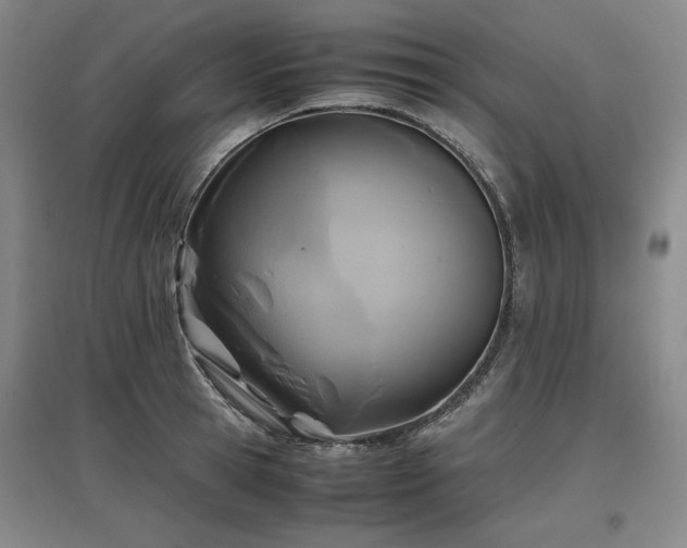 X0000097480945200802221349