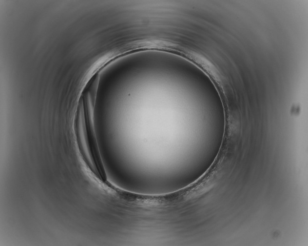 X0000097480946200802221349