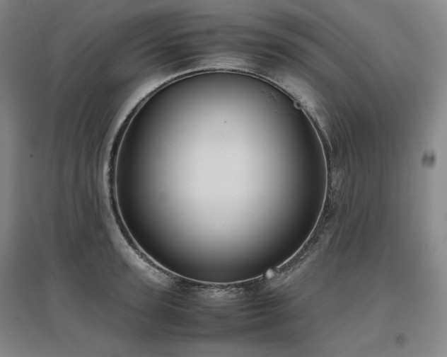 X0000097480947200802221349