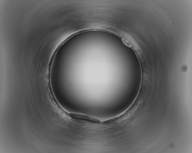 X0000097480948200802221349