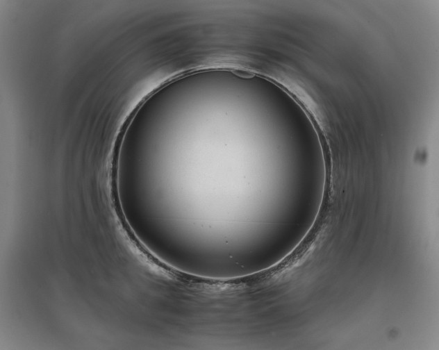 X0000097480949200802221349