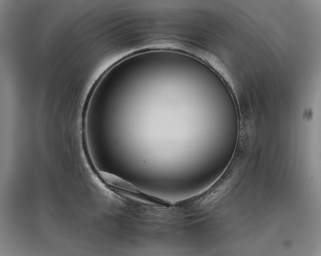 X0000097480951200802221349