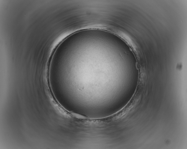X0000097480952200802221349