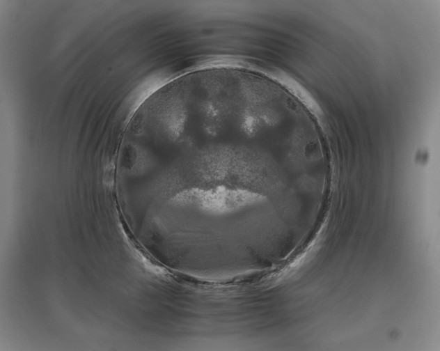 X0000097480953200802221349