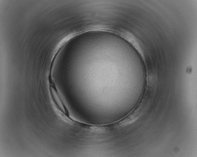 X0000097480954200802221349