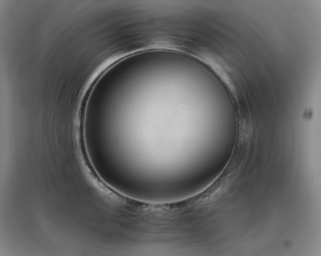 X0000097480955200802221349