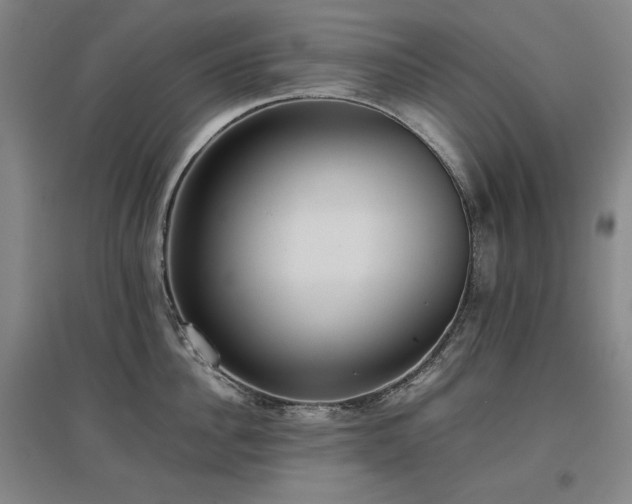X0000097480956200802221349
