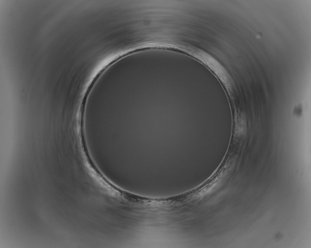 X0000097480958200802221349