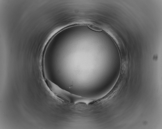 X0000097480959200802221349