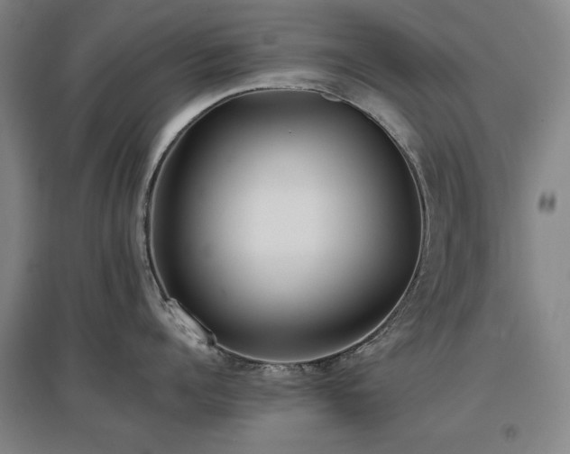 X0000097480960200802221349