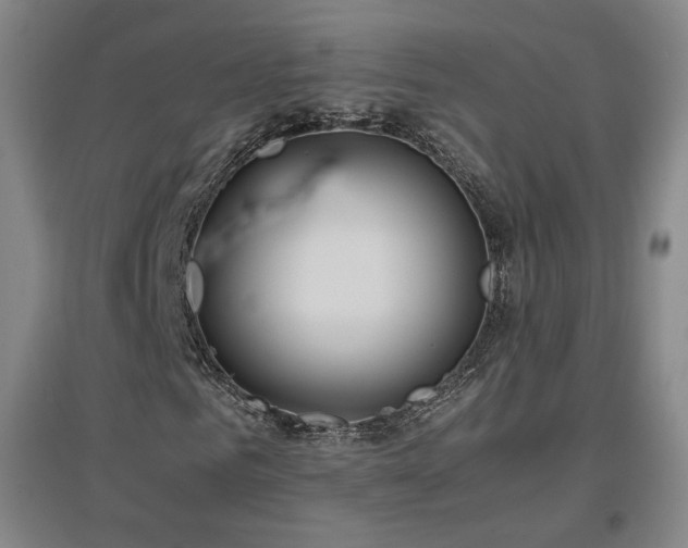 X0000097480961200802221348
