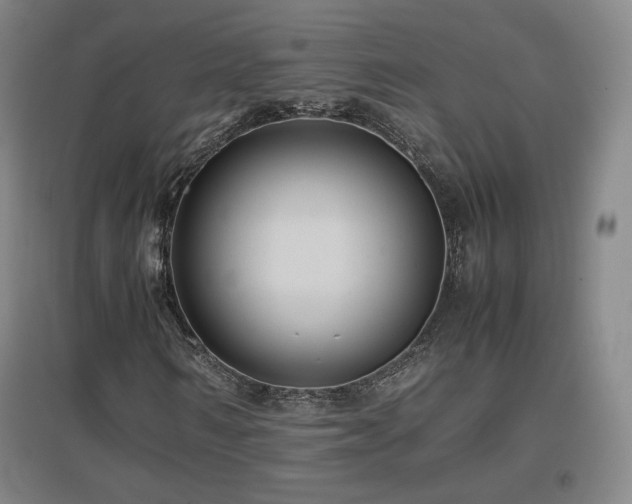 X0000097480962200802221348