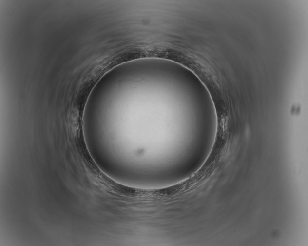 X0000097480963200802221348