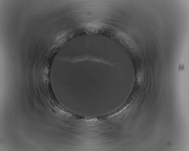 X0000097480964200802221348