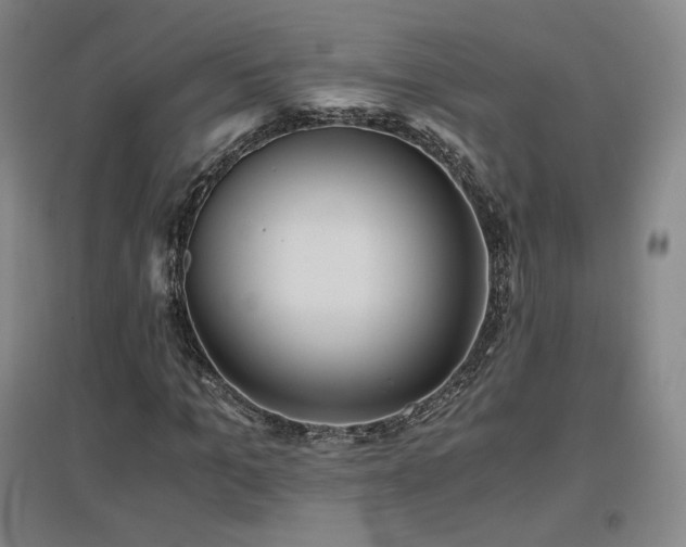 X0000097480965200802221348