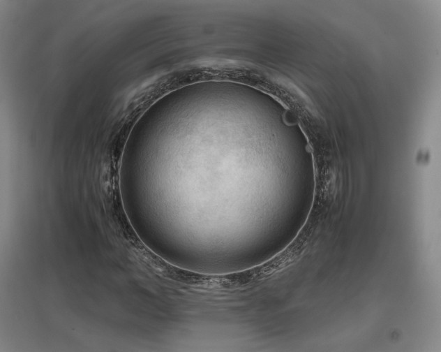 X0000097480966200802221348