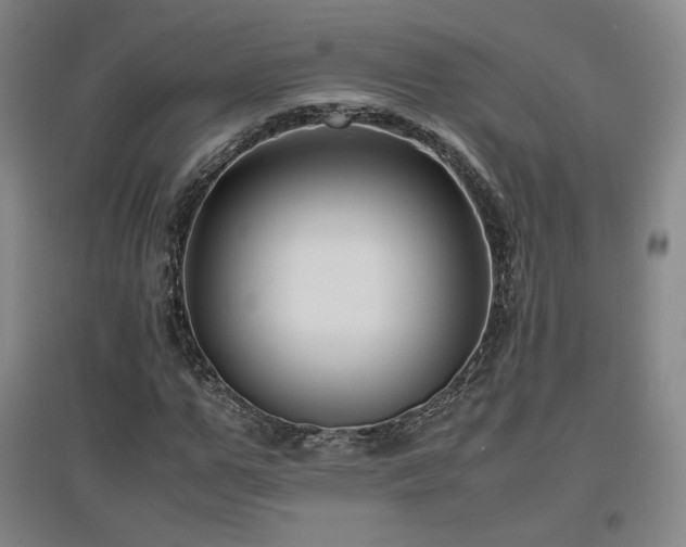 X0000097480967200802221348