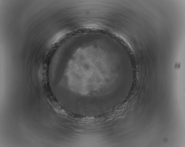 X0000097480968200802221348