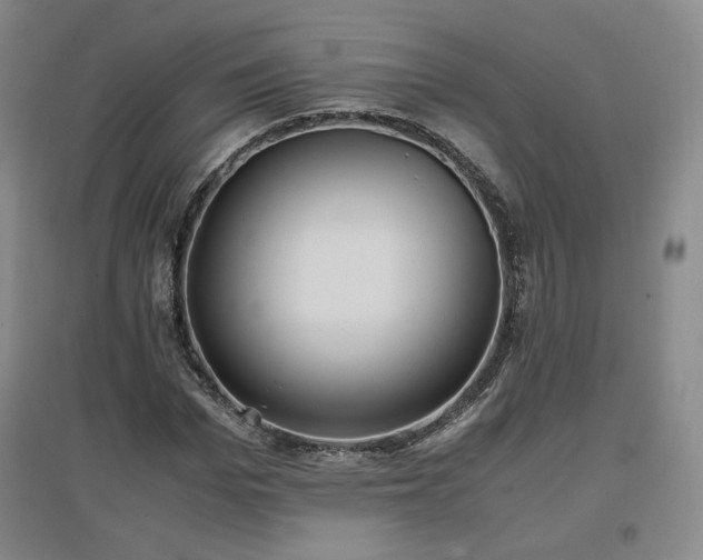 X0000097480969200802221348