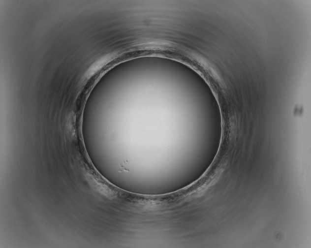 X0000097480970200802221348