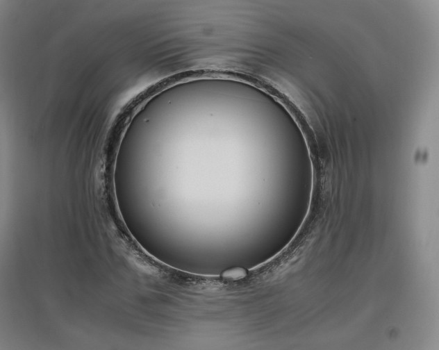 X0000097480971200802221348