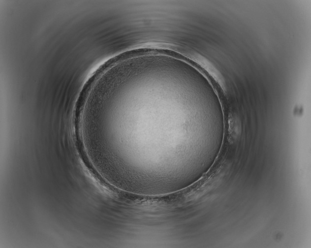 X0000097480972200802221348