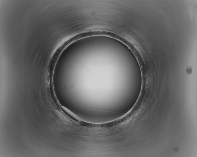 X0000097480973200802221348