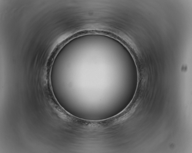 X0000097480974200802221348